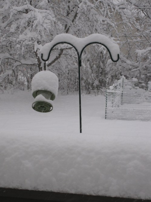 Snowy backyard. An empty bird feeder, piled high with snow. There was snow settling everywhere, even on the shepherd's hook. 