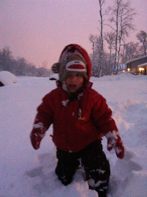 Noah trudging through the snow. He was struggling. The snow was so deep and his little legs are short. 