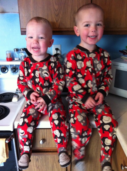 My monkeys - Noah is on the left and Eli is on the right. 