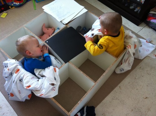 We had excellent helpers. They made good use of their new book shelf...by sitting in it. 